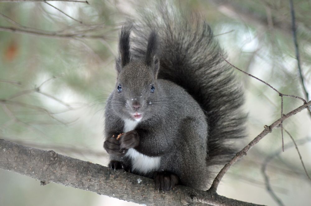 Photograph by Маргарита Бондаренко