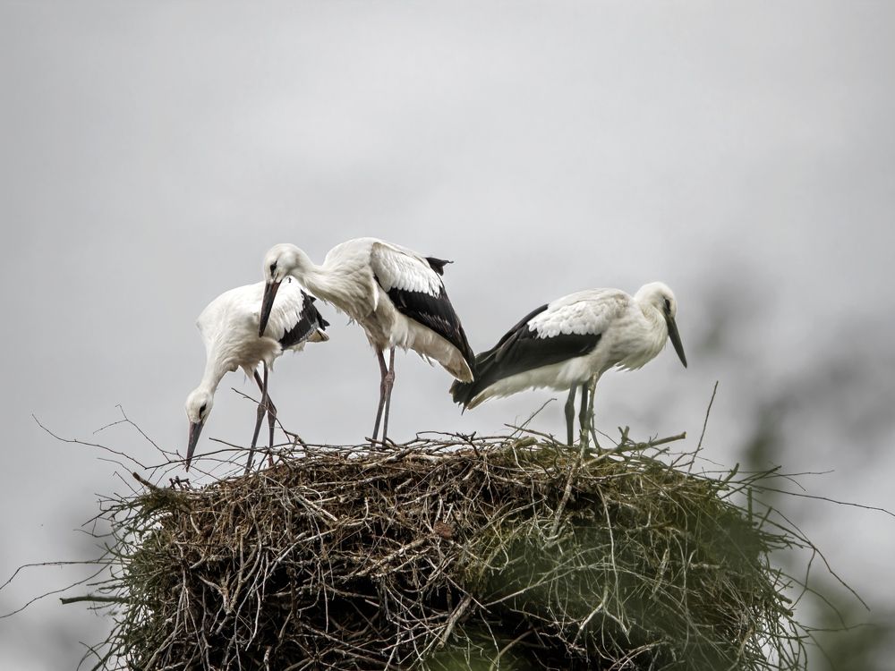 Photograph by Лора