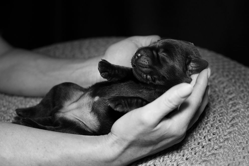 Photograph by Ольга Легенькая