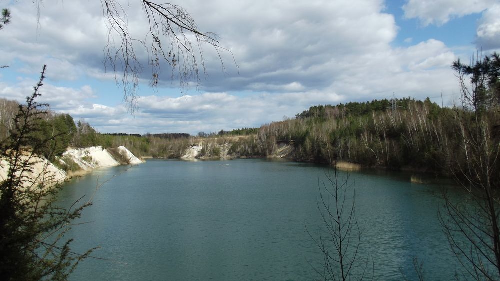 Photo #8911653
