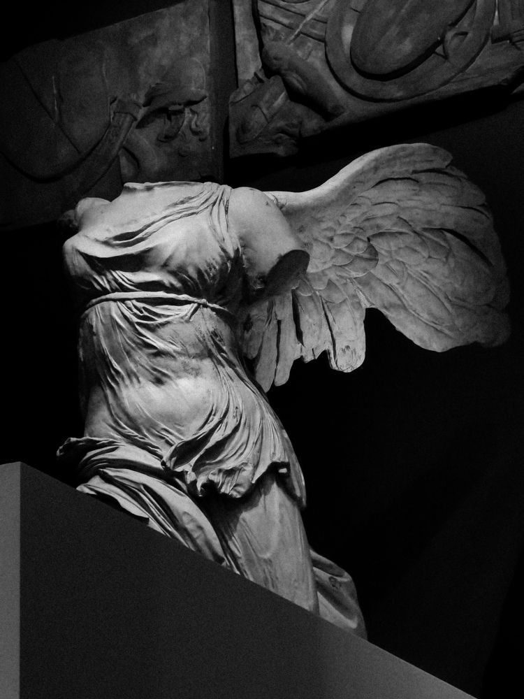 Photo #8911688