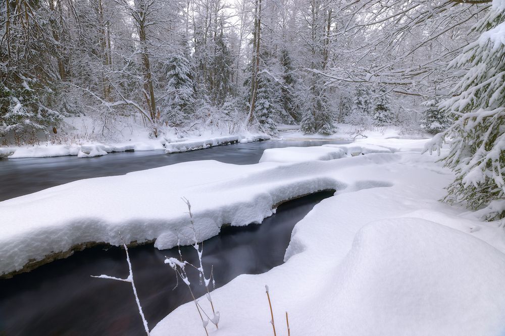 В объятиях зимы