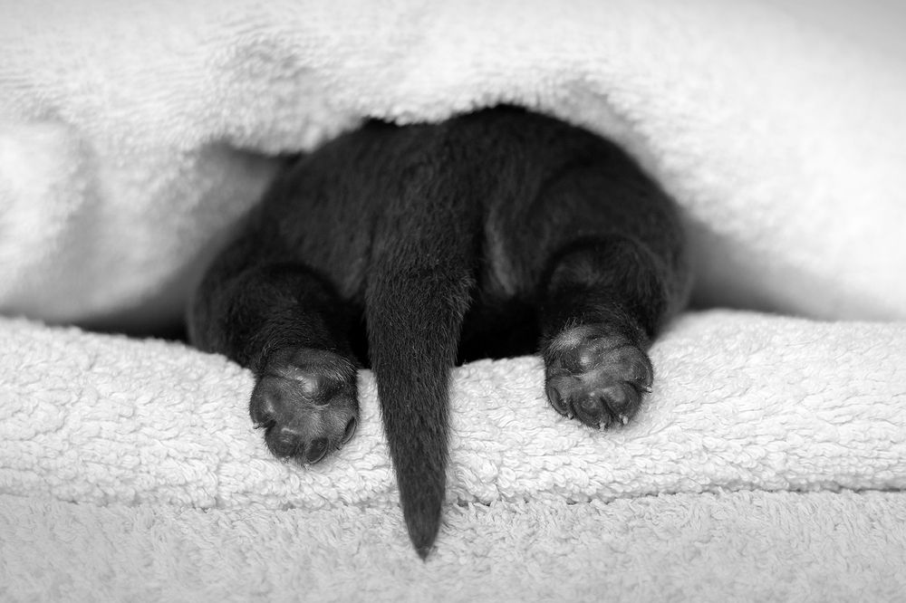 Photograph by Ольга Легенькая