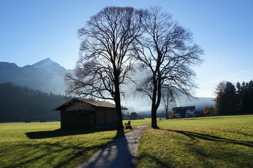 Photo #8911766