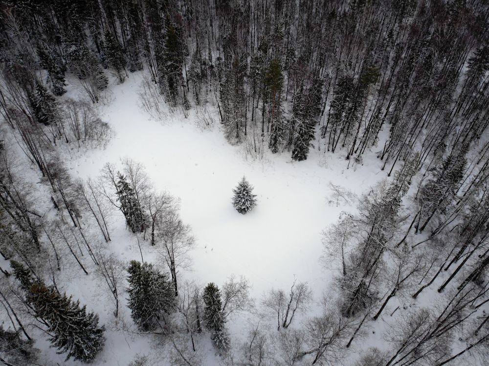 Photograph by Татьяна Пименкова