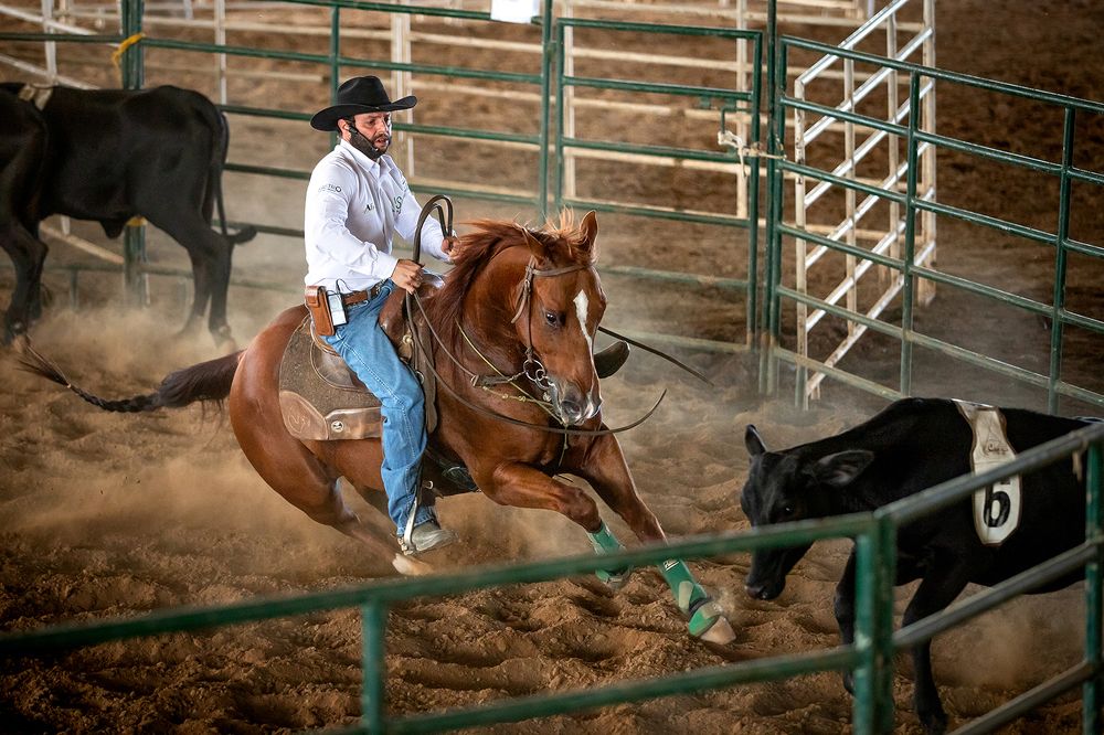 Photograph by Camilla Cintra