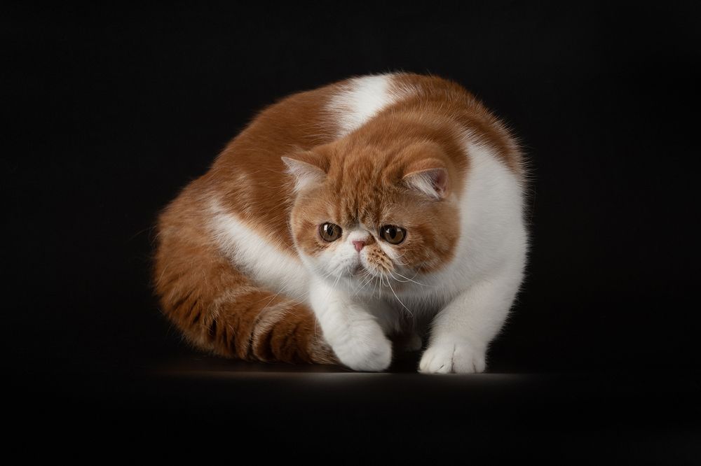 Photograph by Ольга Легенькая