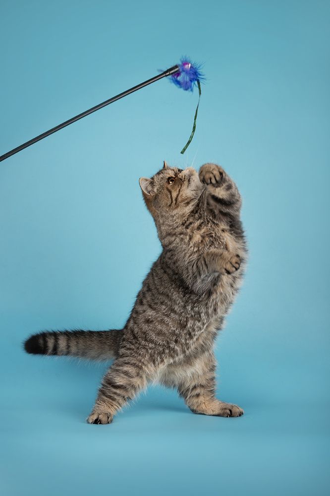 Photograph by Ольга Легенькая