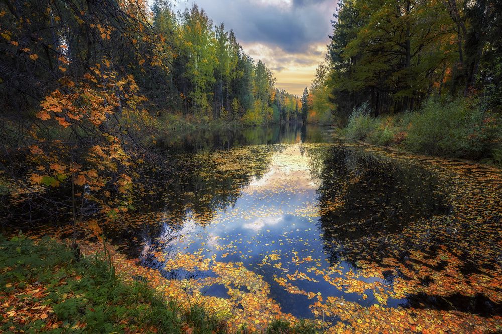 Осенний хоровод