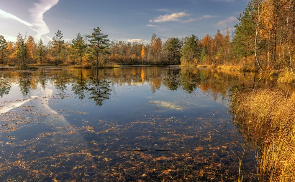 Воспоминание об осени