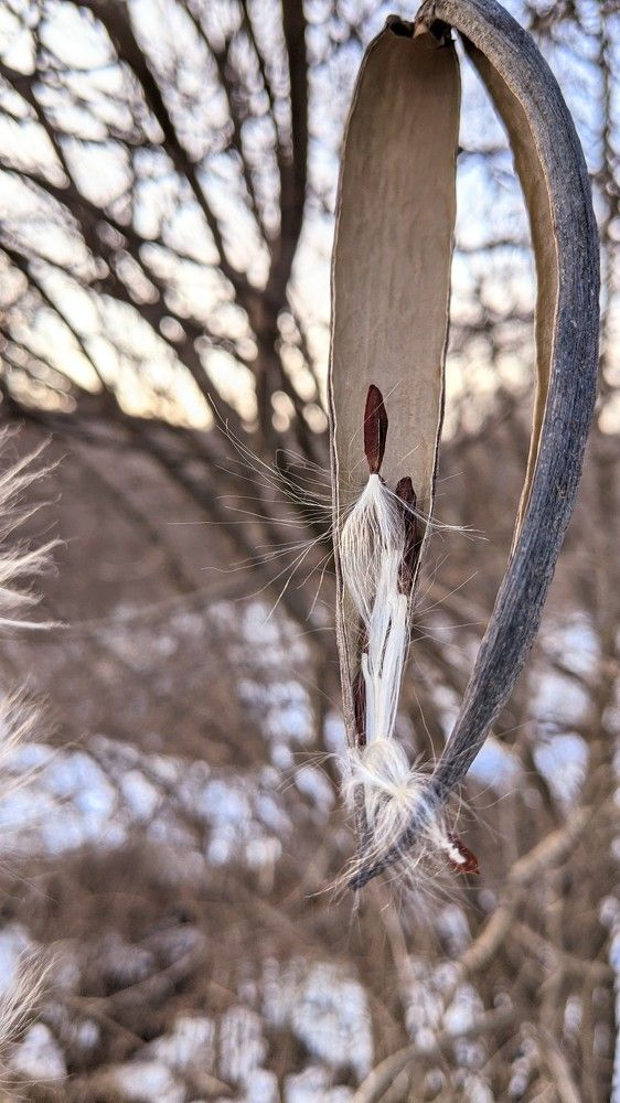 Photograph by Вероника Колбасова