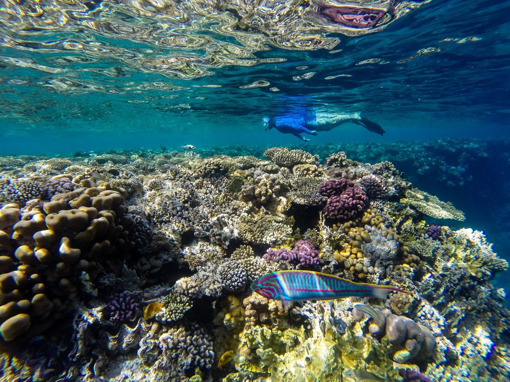 Photograph by Полина Зенькович