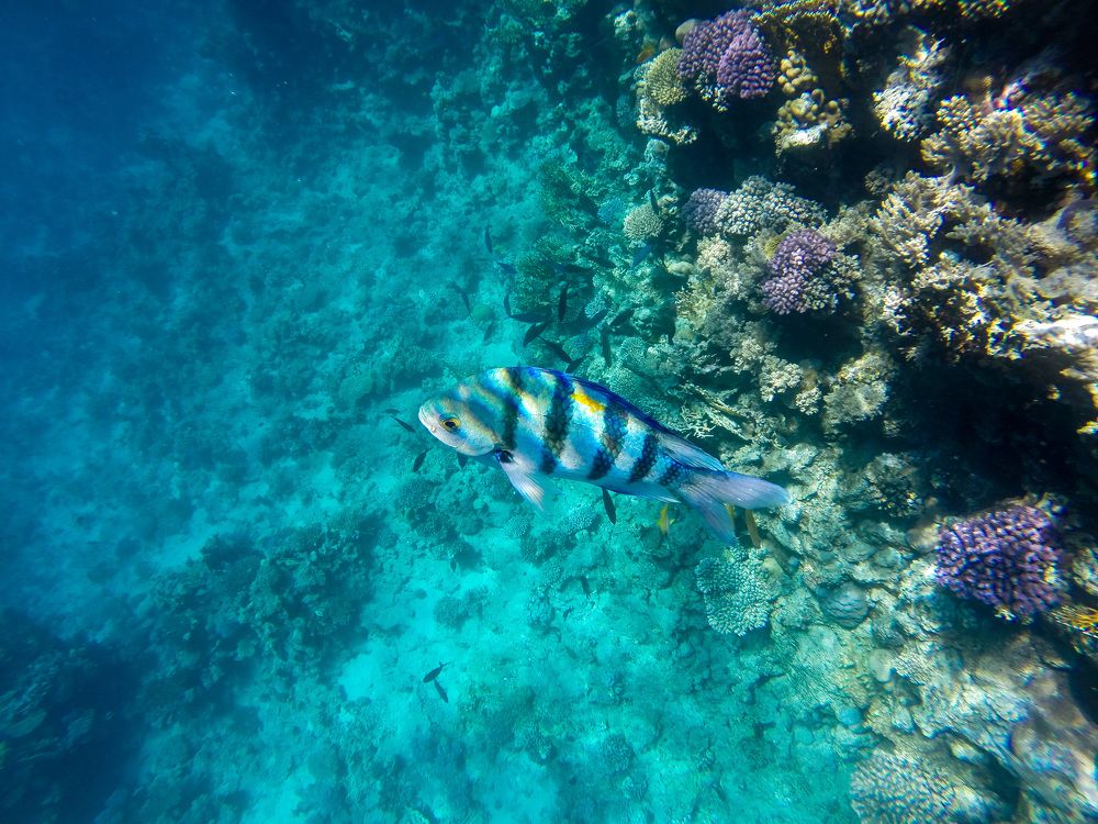 Photograph by Полина Зенькович