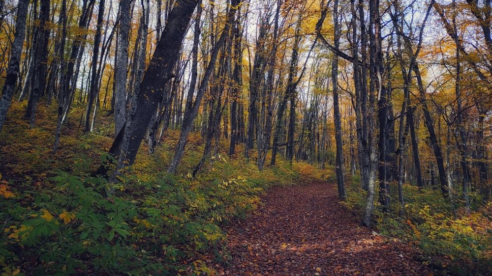 Photograph by Владимир Караман