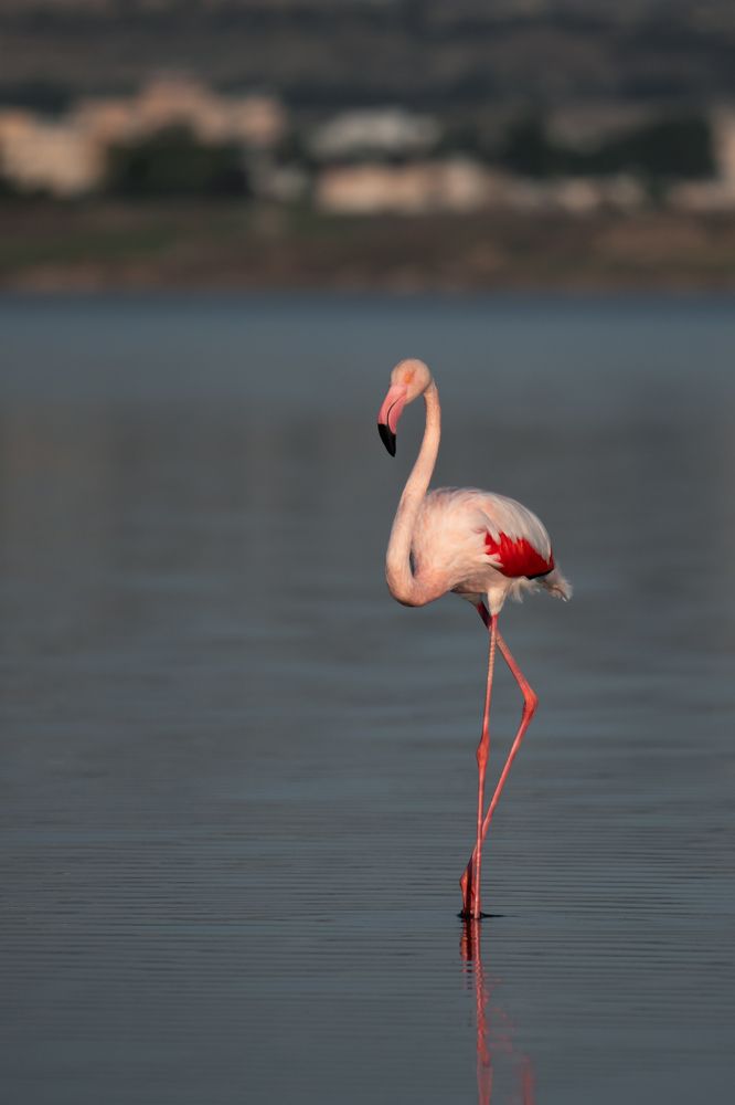 Photograph by Maksim Goncharov