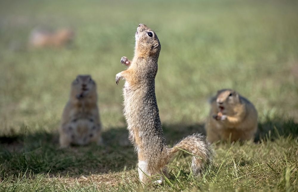 Photograph by Фомина Марина