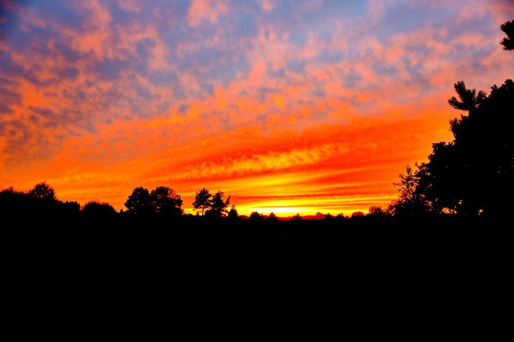 Фотография автора Игорь Мезенцев