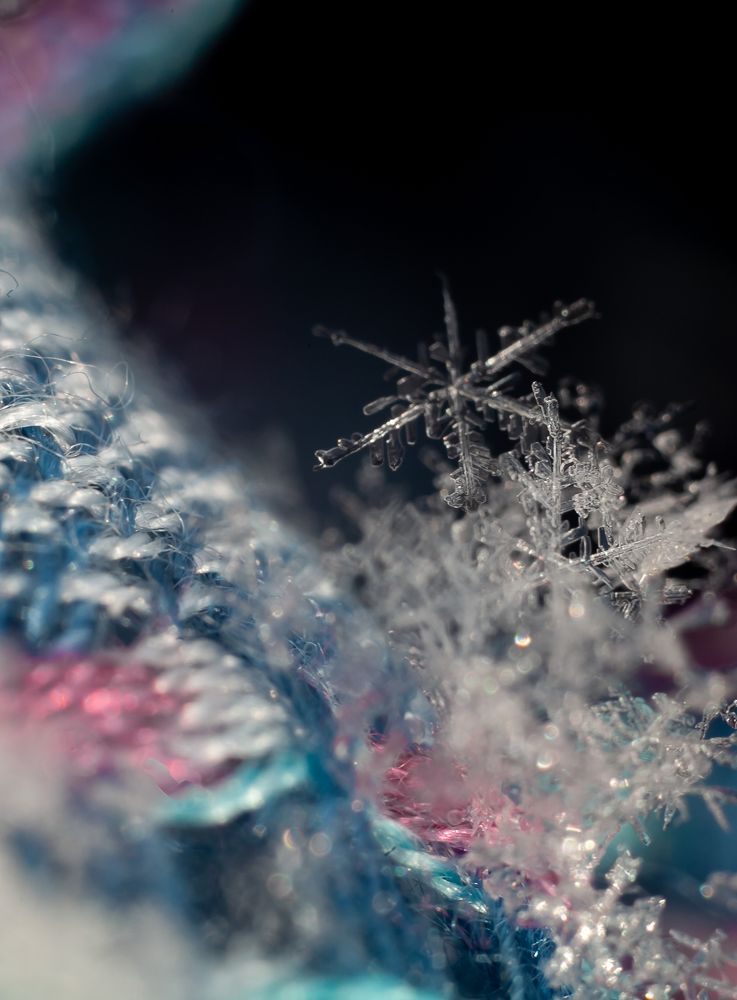 Photograph by Яна Соболева