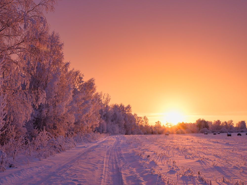 Photograph by Леонтьев Константин