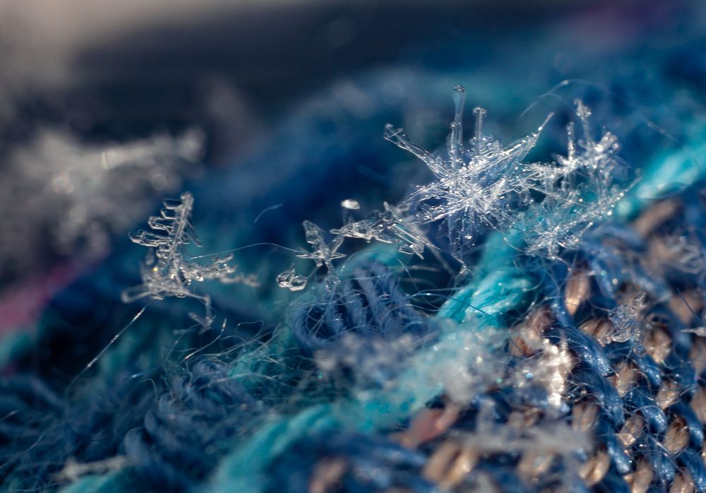 Photograph by Яна Соболева