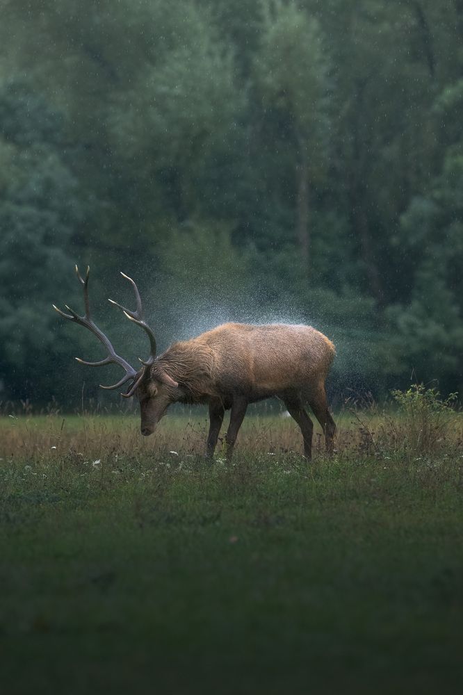 Photograph by Vincenzo Orlando