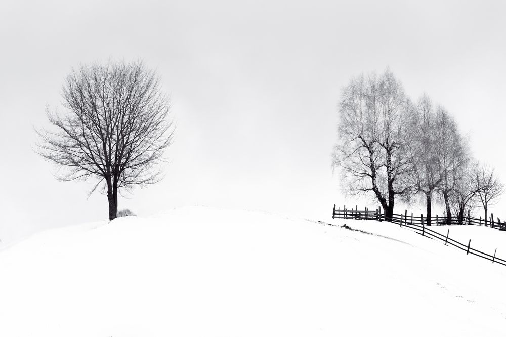 Photograph by Razvan Bordeanu