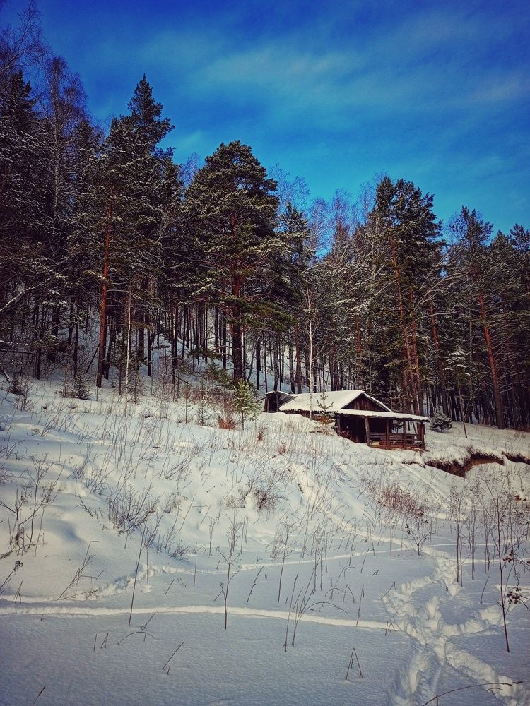 Photo #8912236