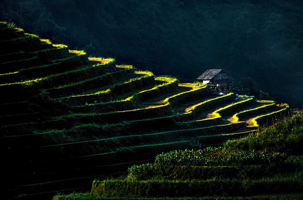 Photograph by nguyễn khoa huy