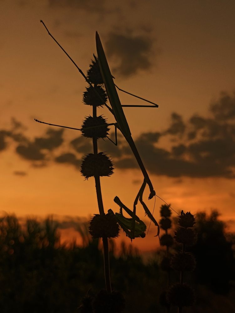 Photograph by Rakesh M Mallammanavar