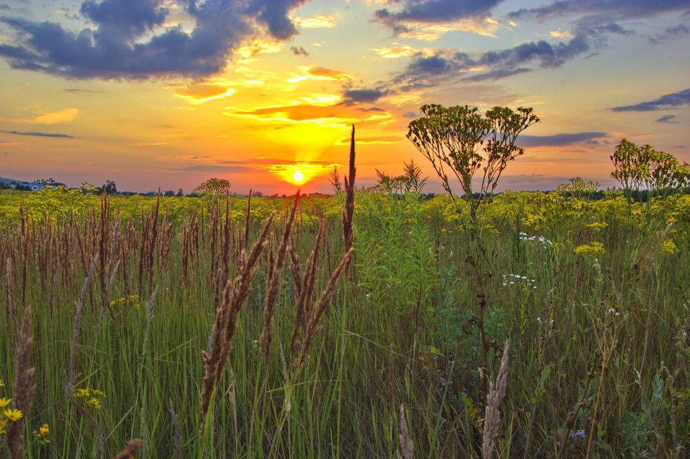 Летний закат.