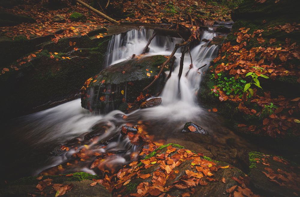 Photograph by Tomáš Jurník
