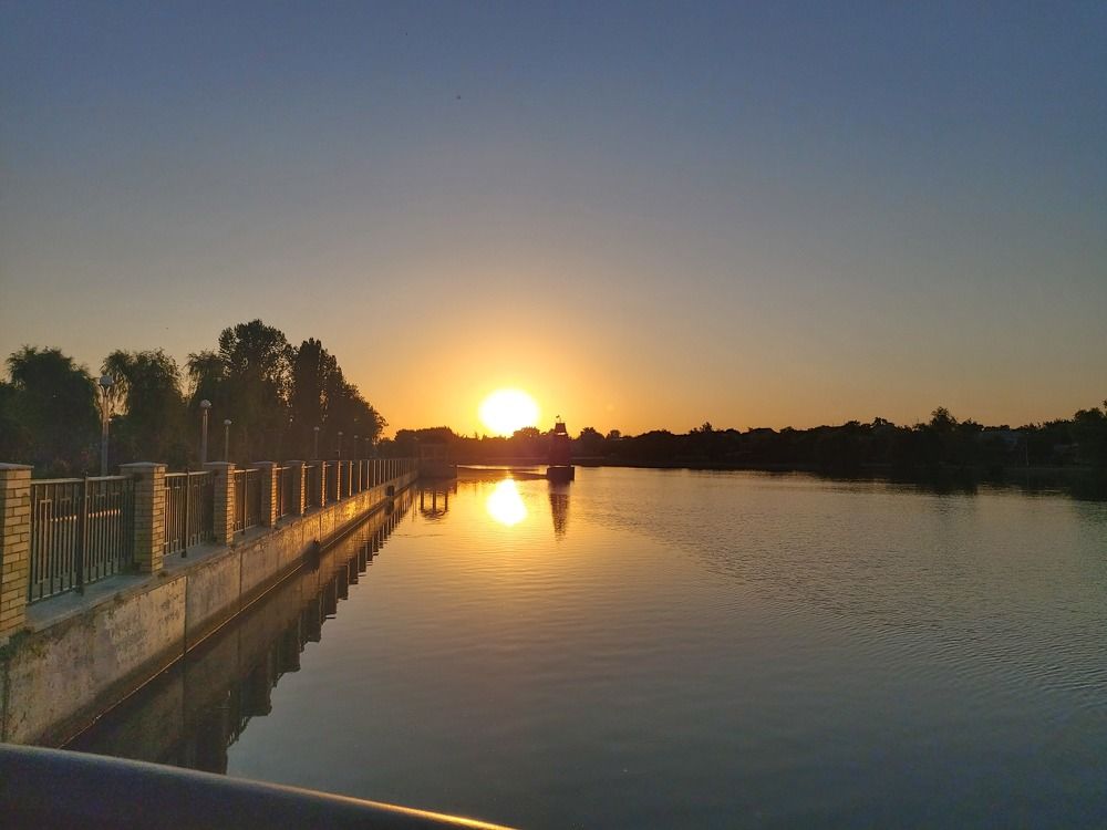 Photo #8912400