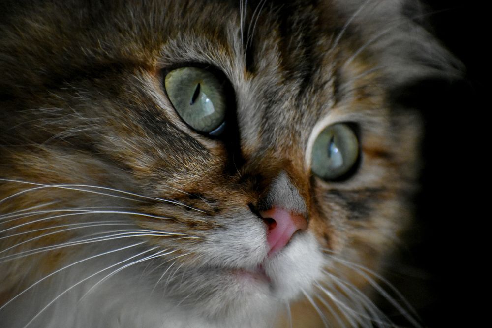 Photograph by Валерия Ковалева