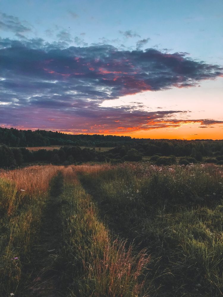 Photograph by Алена Воронова