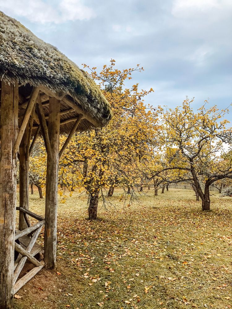 Photograph by Алена Воронова