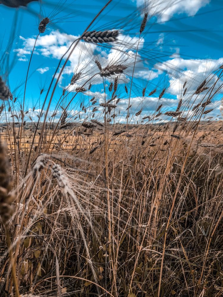 Photograph by Алена Воронова