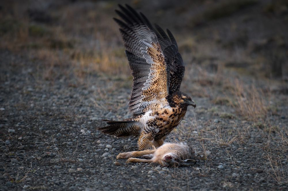 Photograph by Vincenzo Orlando