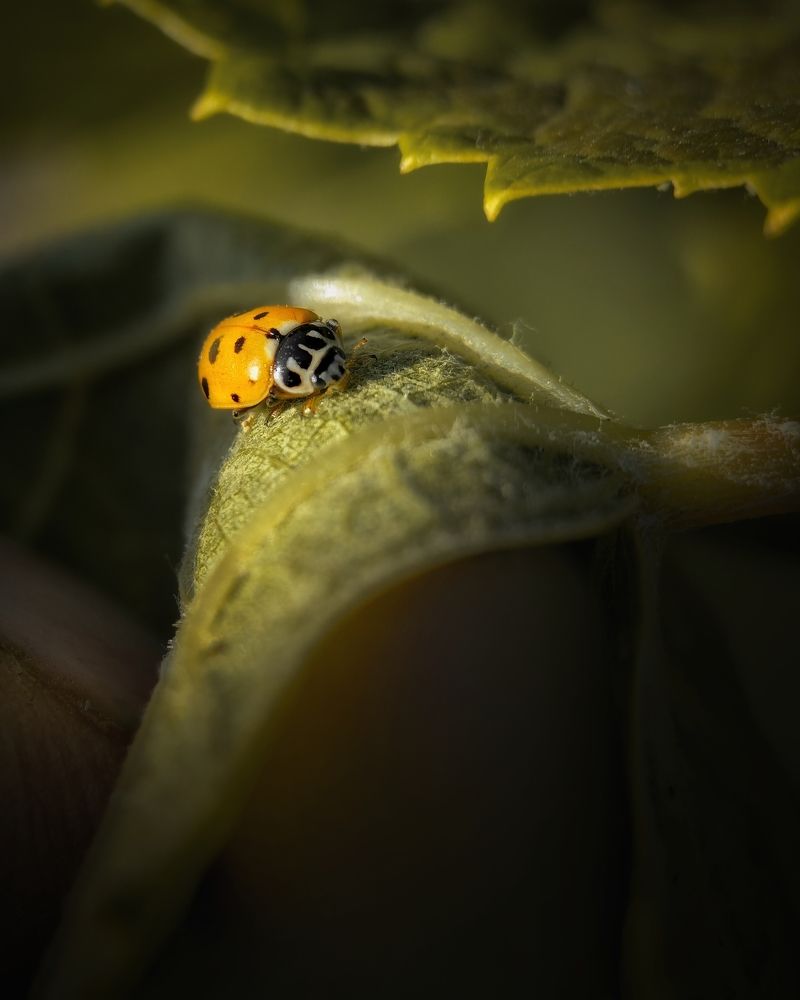 Photograph by Сергей Аксёнов