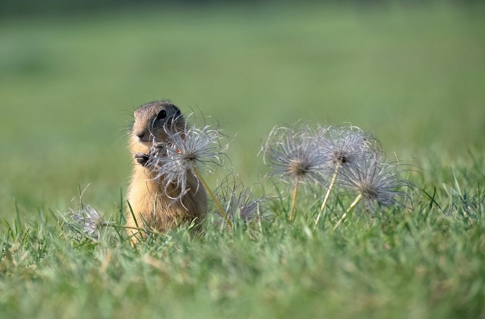 Photograph by Фомина Марина