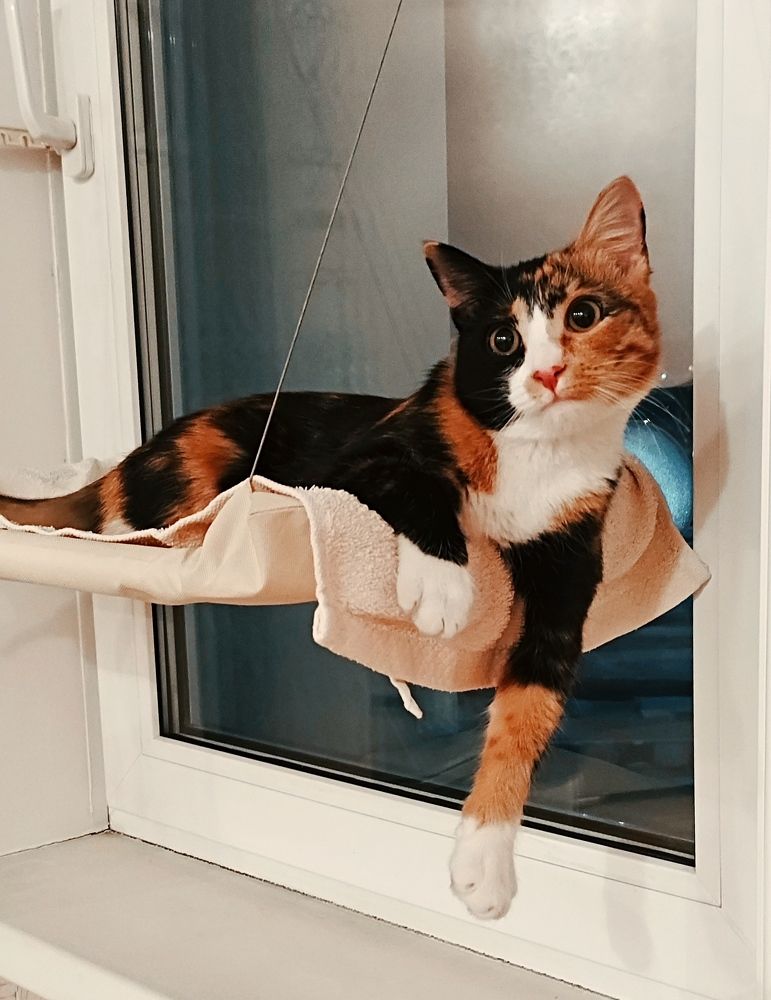 Photograph by Ольга Васильева