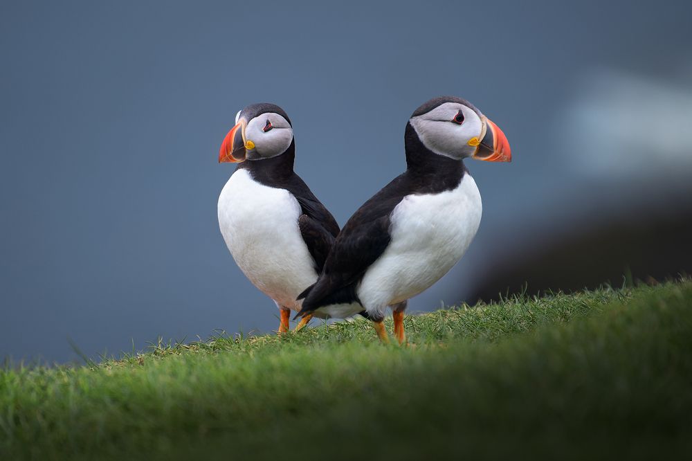 Photograph by Vincenzo Orlando