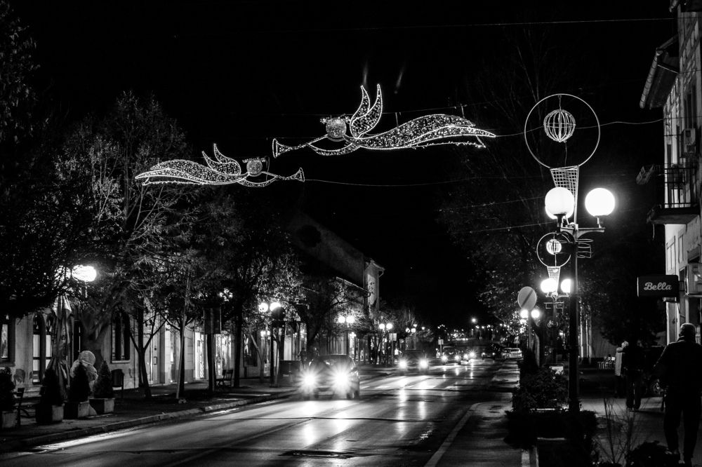 Photograph by Mesaros Cila
