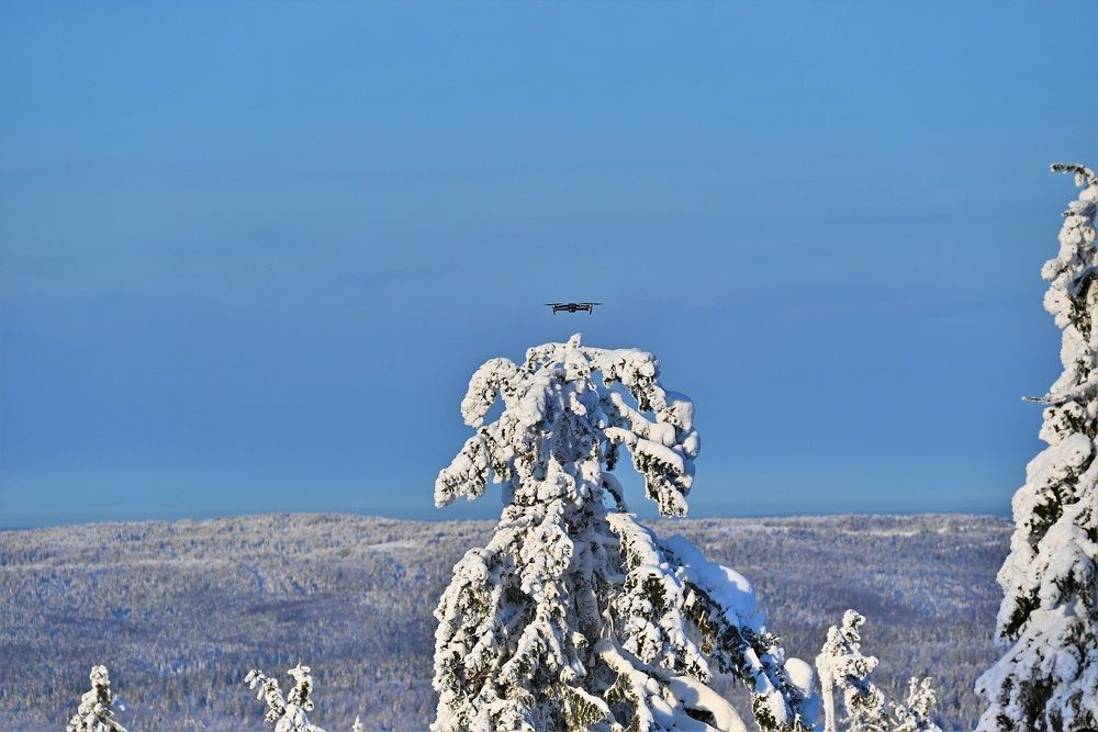 Photograph by Сергей Зубов