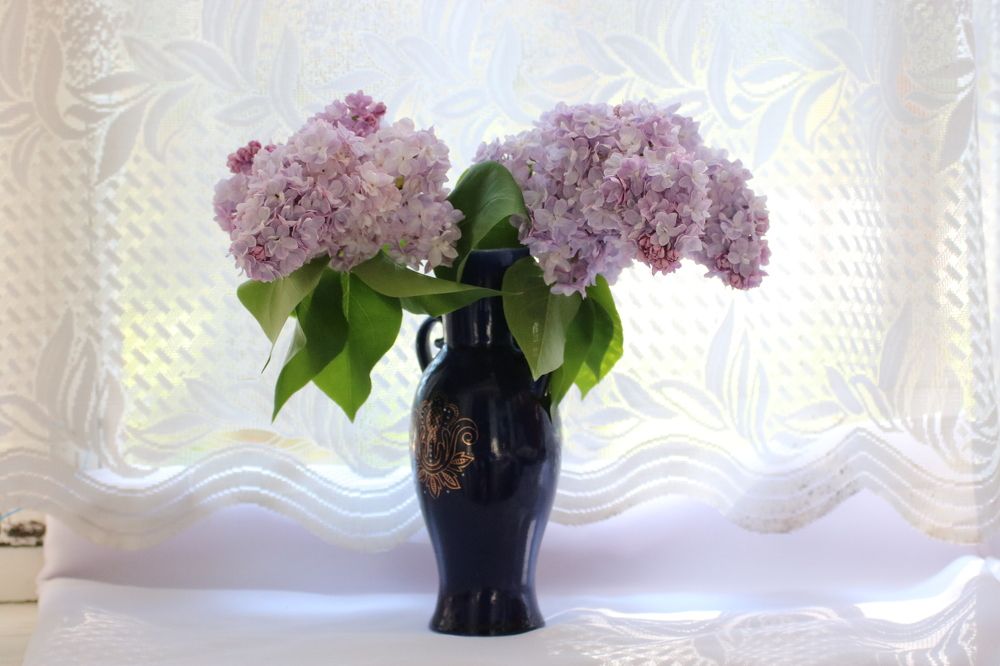 Photograph by Евгения Малафеева