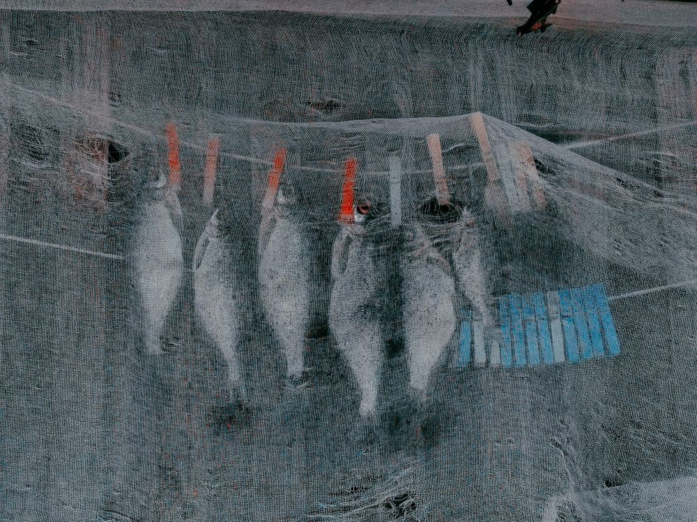 Photograph by Ольга Яценко