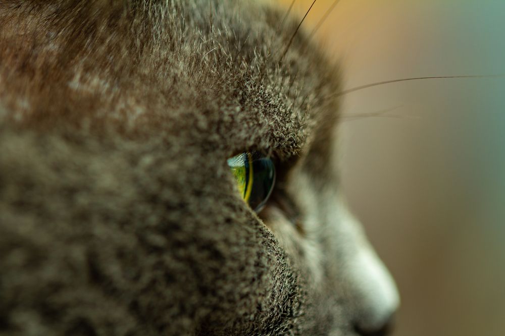 Photograph by Anton Shumanskiy