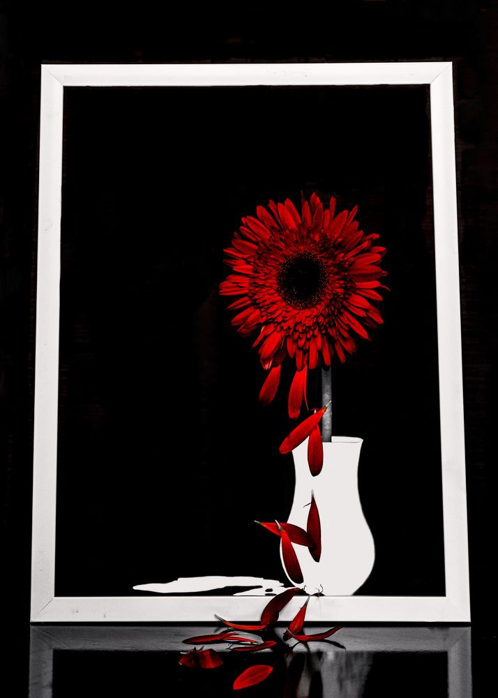 Photograph by Asmathi Gogatishvili