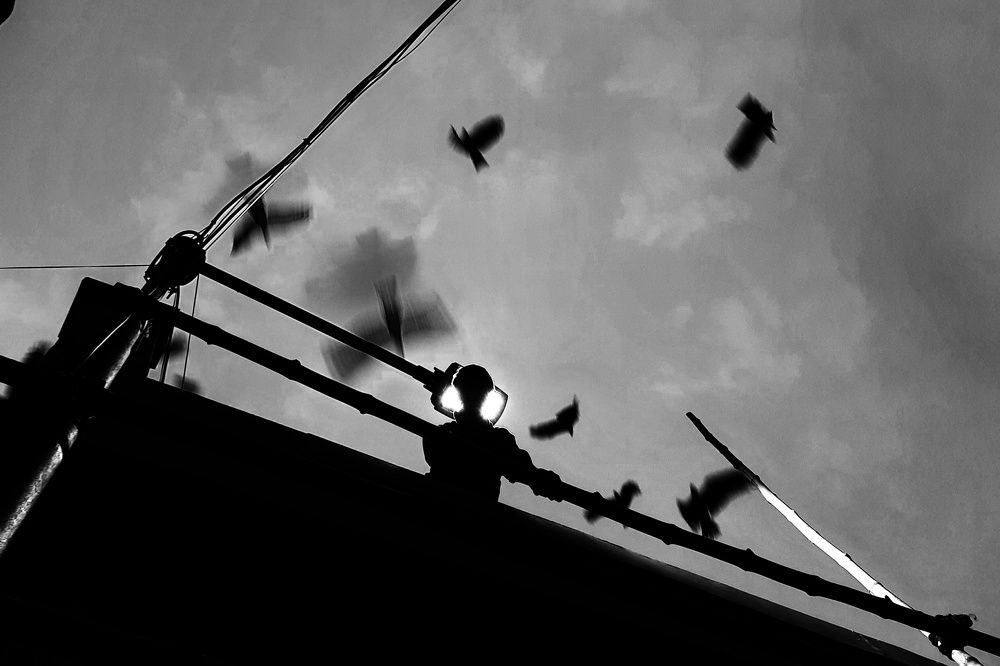 Photograph by SUBHODEEP MONDAL