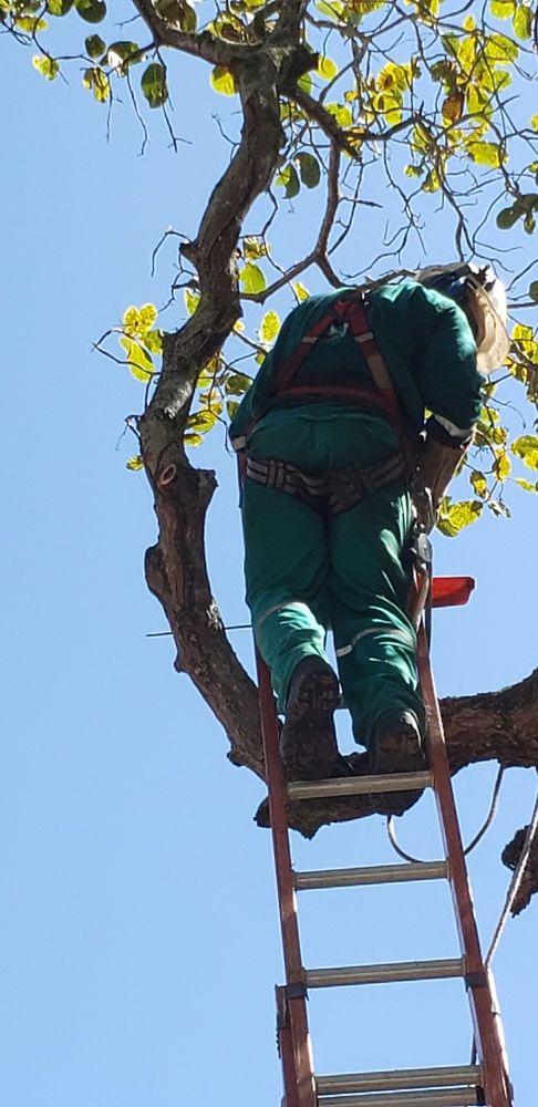 Photograph by Mardone França