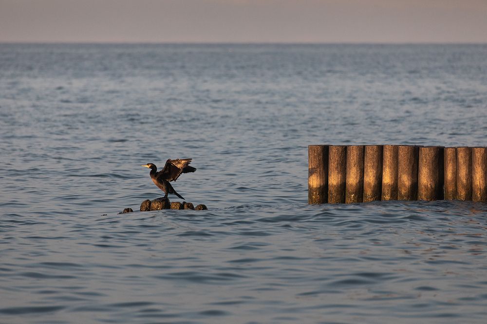 А может волнорезом стать?